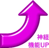 神経機能UP