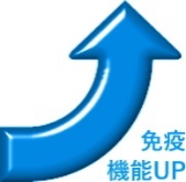 免疫機能UP